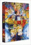 Dragon Ball Z - Pelculas 11 y 12 DVD