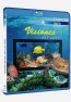 Visiones del Mar Blu-ray