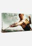 Troya - Edicin Coleccionista (estuche cartn) DVD