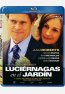 Lucirnagas en el Jardn Blu-ray