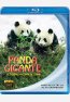 Panda Gigante, El Tesoro Nacional de China Blu-ray