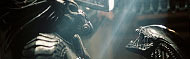 Aliens vs. Predator 2 DVD