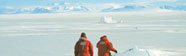Encuentros en el Fin del Mundo Blu-ray