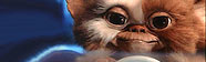 Colecci�n Gremlins - Cofre Met�lico DVD