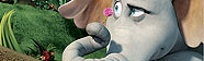 Horton DVD
