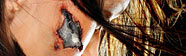 Terminator: Las Cr�nicas de Sarah Connor - 1� Temporada Blu-ray