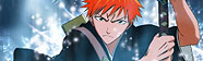 Bleach - Edici�n Limitada Cofre 1 (Shinigami Edition) DVD