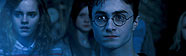 Harry Potter y la Orden del F�nix - Edici�n Especial DVD