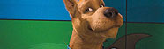 Scooby-Doo, La Pel�cula Blu-ray